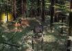 Wot no Ewoks!?