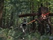 Stormin' through the undergrowth