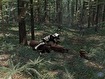 I had a toy speeder that would explode to pieces!
