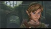 Wii Preview: Link