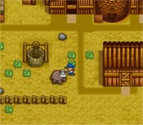 Harvest Moon - SNES