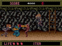 Splatterhouse - TurboGrafx16
