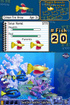 One of these fish is not like the other...