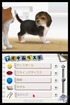 That dog is the best one.