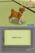 Teaching Puppy His Name