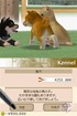 Puppys aren't cheap