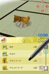 Picking out the dog food