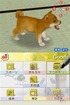 Puppy's got no collar!  We should fix that.