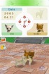 Puppies get to play!