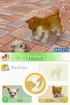 Puppies meet