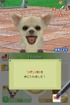Little puppy has sharp teeth.