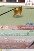Sparkly Puppy gets ready for the dog contest