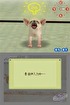 Shiro learns its name.