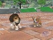 Electronic Entertainment Expo 2005: Dogs in the park