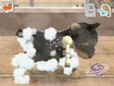 Washing a filthy puppy