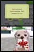 Wii Preview