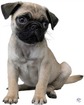 ...aaaand THIS IS FOR DEG