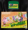 Yoshi Box and Cartridge on Leather