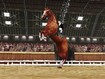 This aint no rodeo.