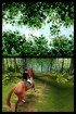 Into the woods!
