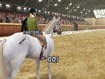 Tap that horse's rear!