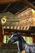 Wash the horse!
