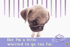 Pocket deals dogs gba