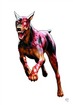 Cerberus