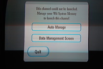 Game Developers Conference 2009: Wii SD Card Menu - Auto Manage screen
