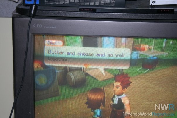 harvest moon tree of tranquility cheats