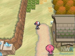 Pokémon Black/White (Nintendo DS) Review: Um clássico renovado - Arkade