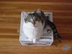 What?  You think this is YOURS?!!!