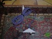 Nice rug!