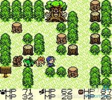 Dragon shop warrior monsters