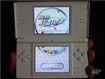 Shunkan Puzzloop & DS Lite