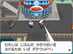 Pokémon Black 2 & White 2 Dream World