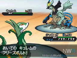 Nintendo Releases Pokemon Black and White Details