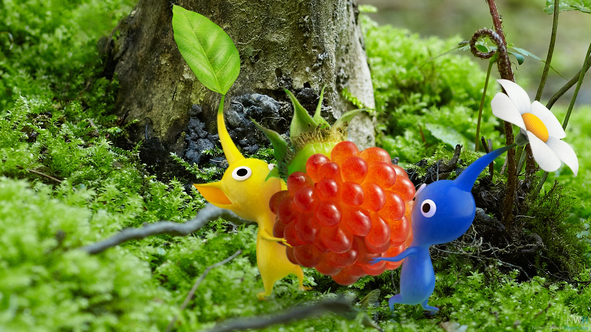 download pikmin 4 release date