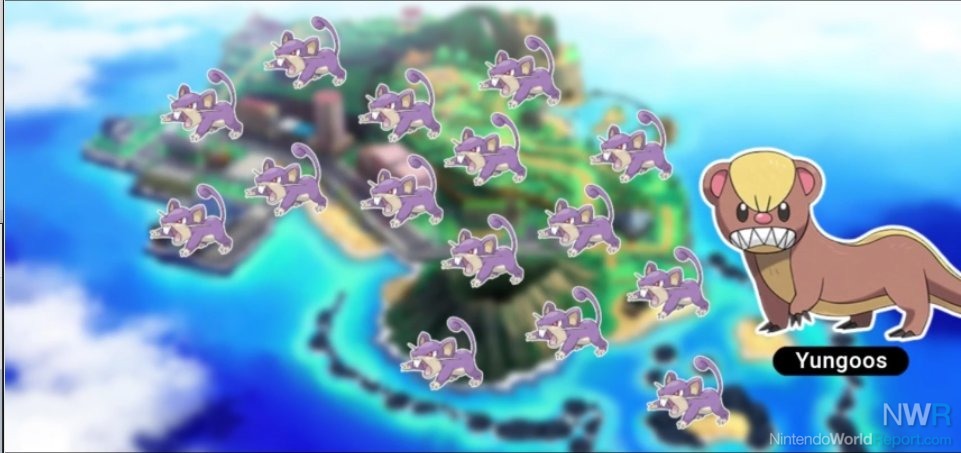 Rattata Alola Pokemon sun, Pokemon, Pokemon alola