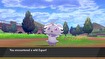 Pokémon Direct 6.5.2019