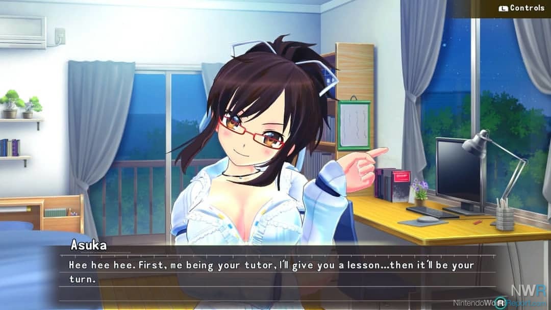 Senran Kagura Reflexions Review — A Defining Moment for the Joy-Con  Controllers