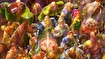 Nintendo Direct 9.13.2018