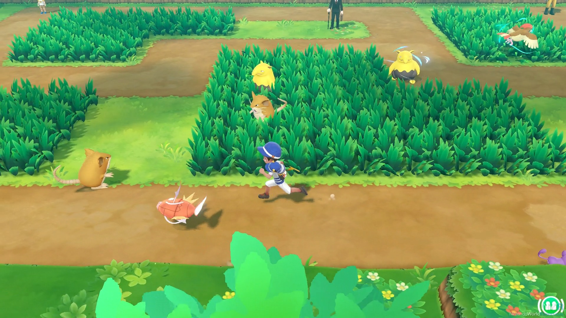 Pokemon Let's Go Onix  Moves, Evolutions, Locations and Weaknesses