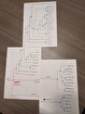 The full phylogeny