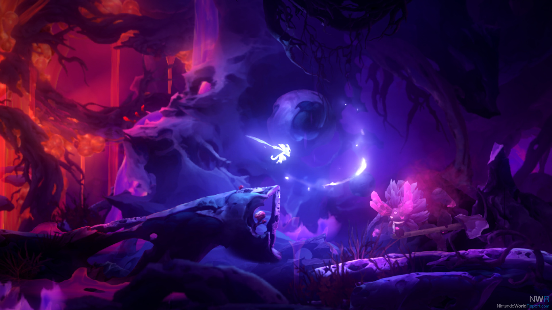 Ori And The Will Of The Wisps Switch Review