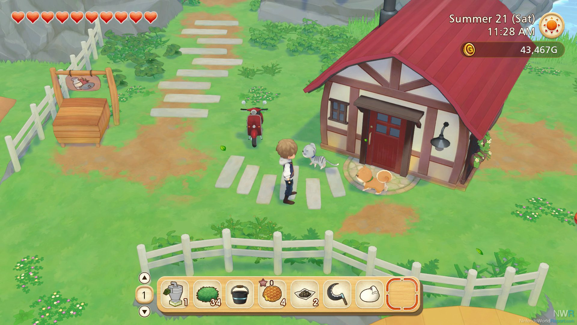 Jogo Story Of Seasons: Pioneers Of Olive Town