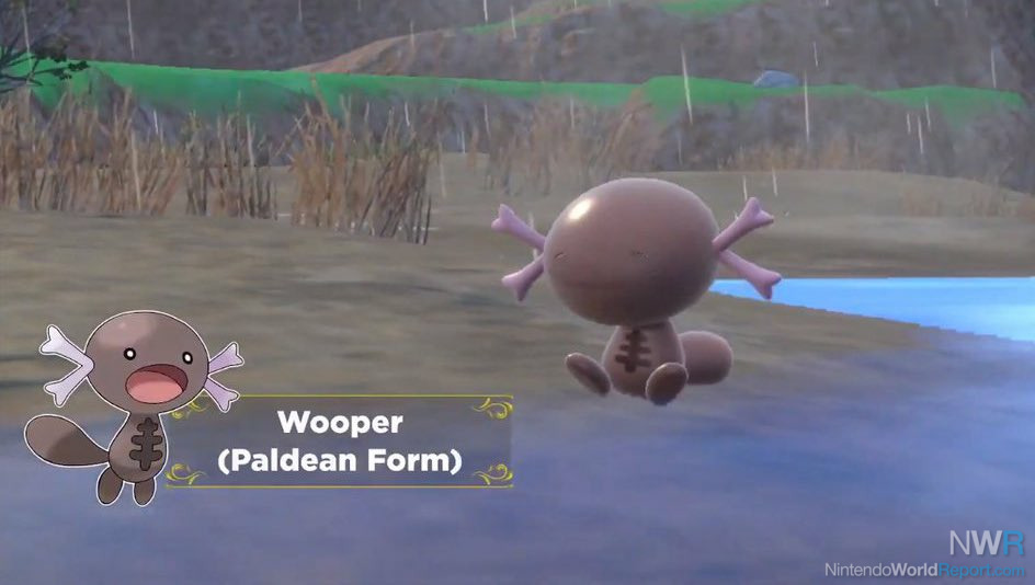 Pokémon Scarlet and Violet: Photos of Fidough, Paldean Wooper, Cetitan