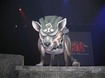 The fierce Wolf Link