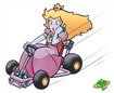 Wario tampered w/Princess' brakes