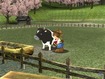 Milking the cow?